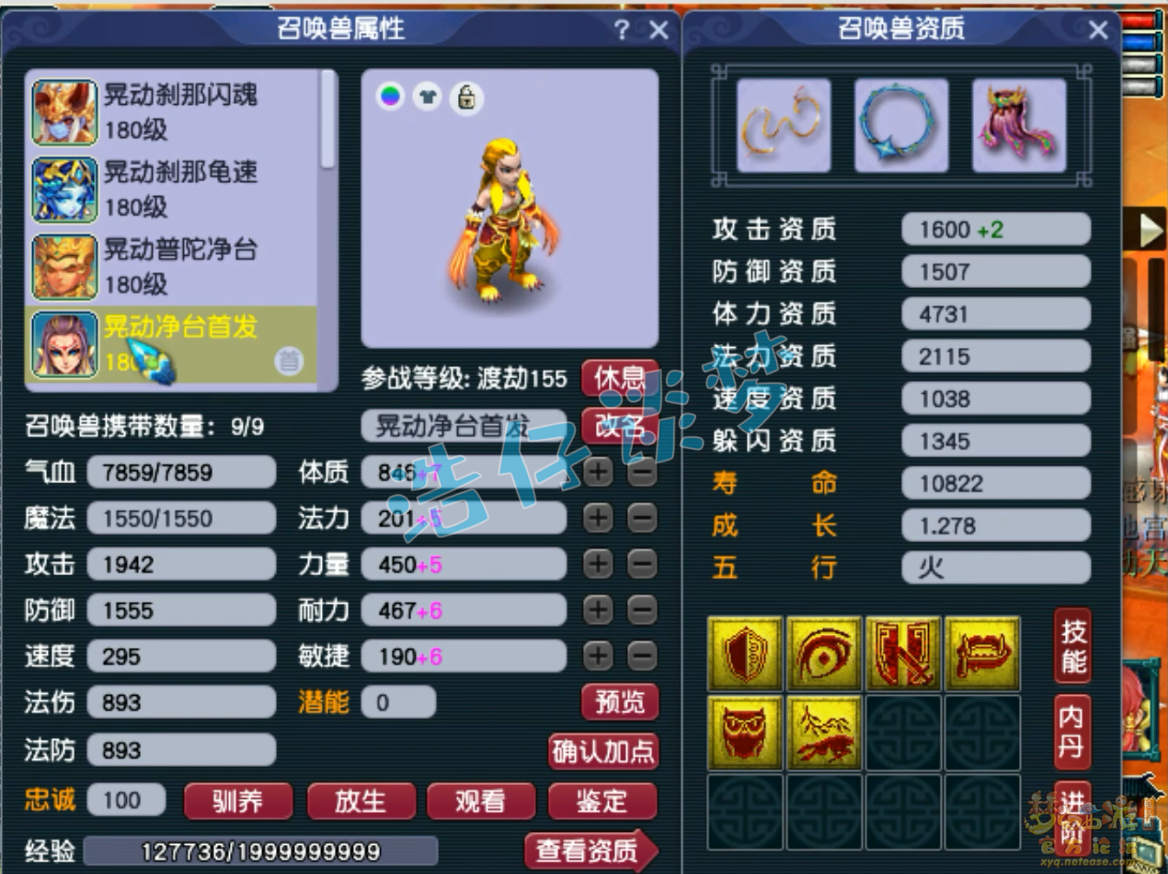 梦幻西游175级普陀山装备展示图