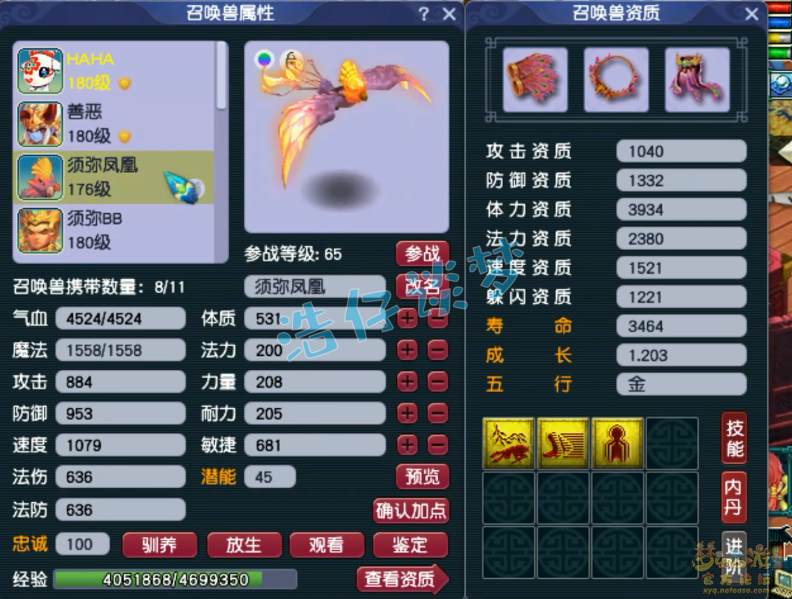 梦幻西游175凌波城装备展示图