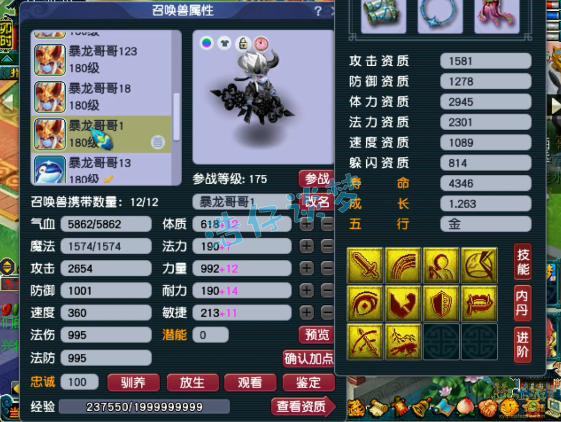 梦幻西游单挑魔方寸山装备展示图175级