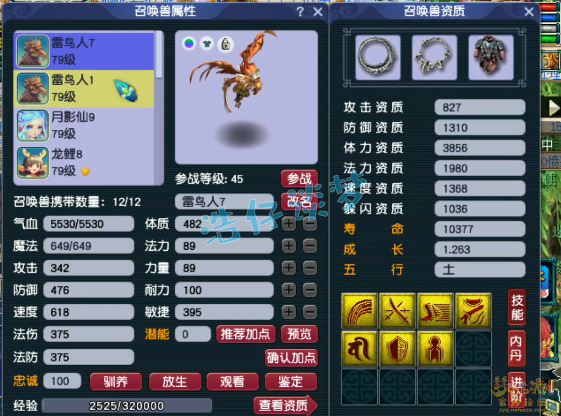 梦幻西游固伤普陀山装备展示图69级