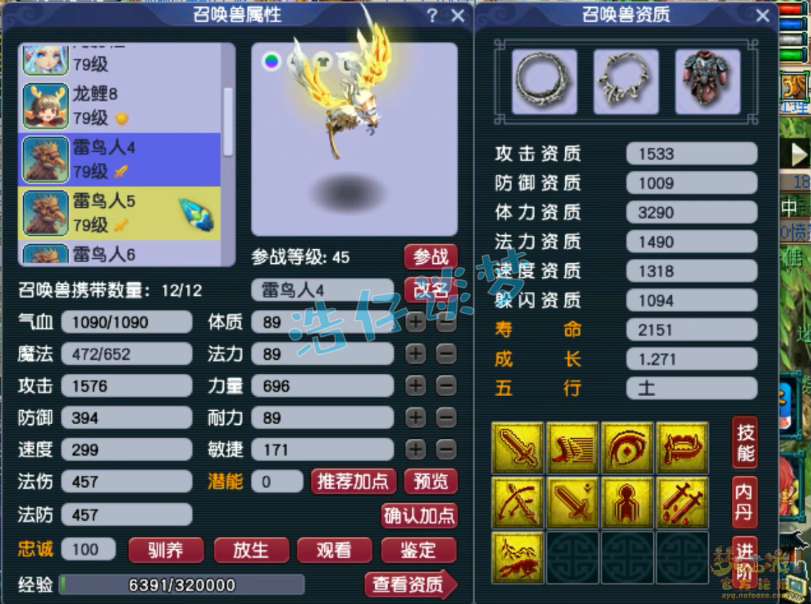 梦幻西游固伤普陀山装备展示图69级