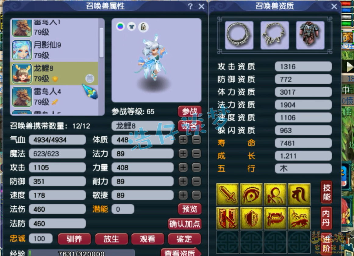 梦幻西游固伤普陀山装备展示图69级