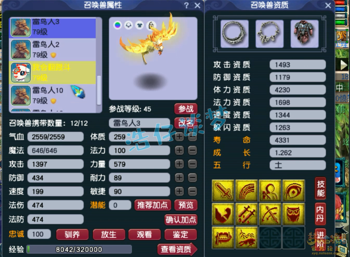 梦幻西游固伤普陀山装备展示图69级