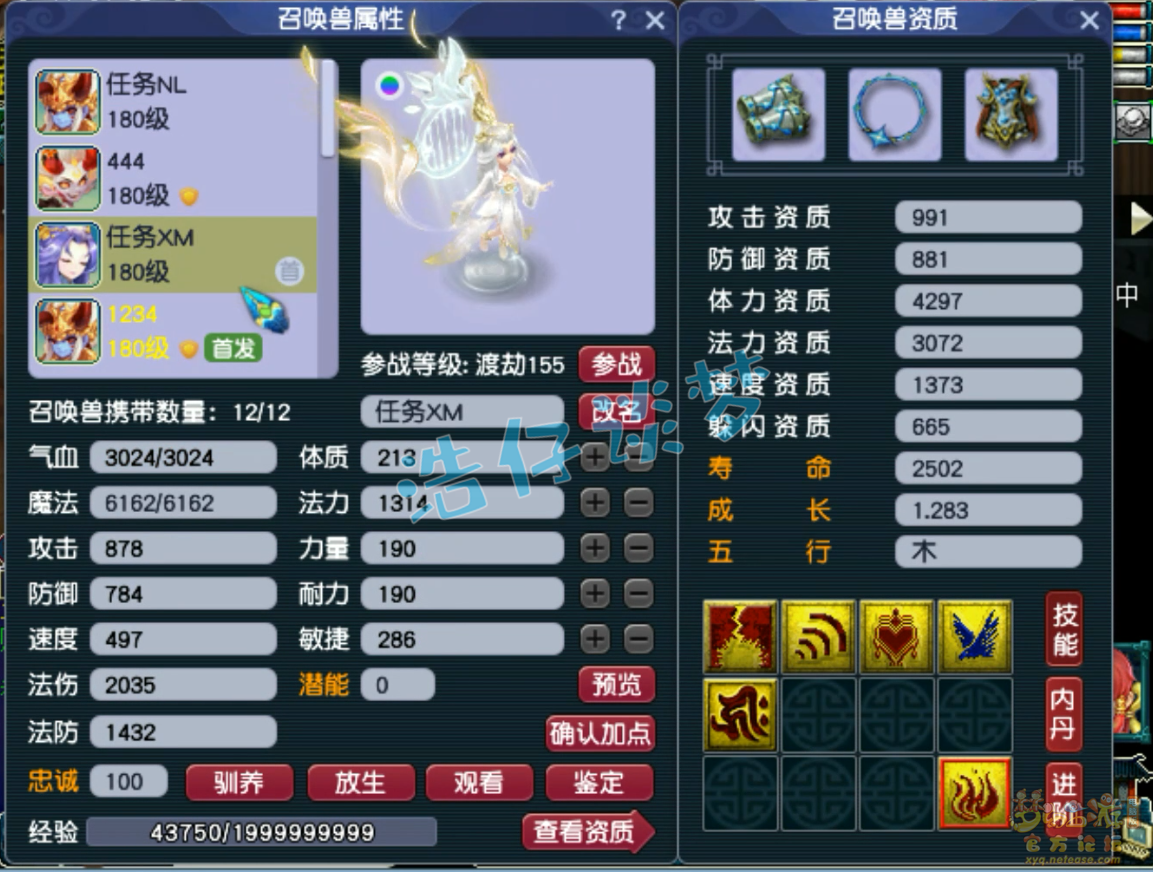 梦幻西游咒师普陀山装备展示图175级