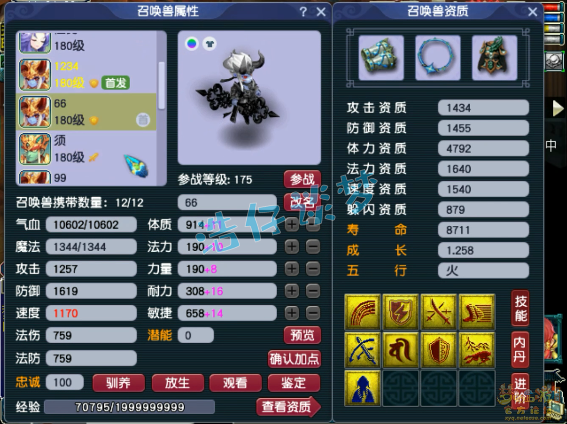 梦幻西游咒师普陀山装备展示图175级