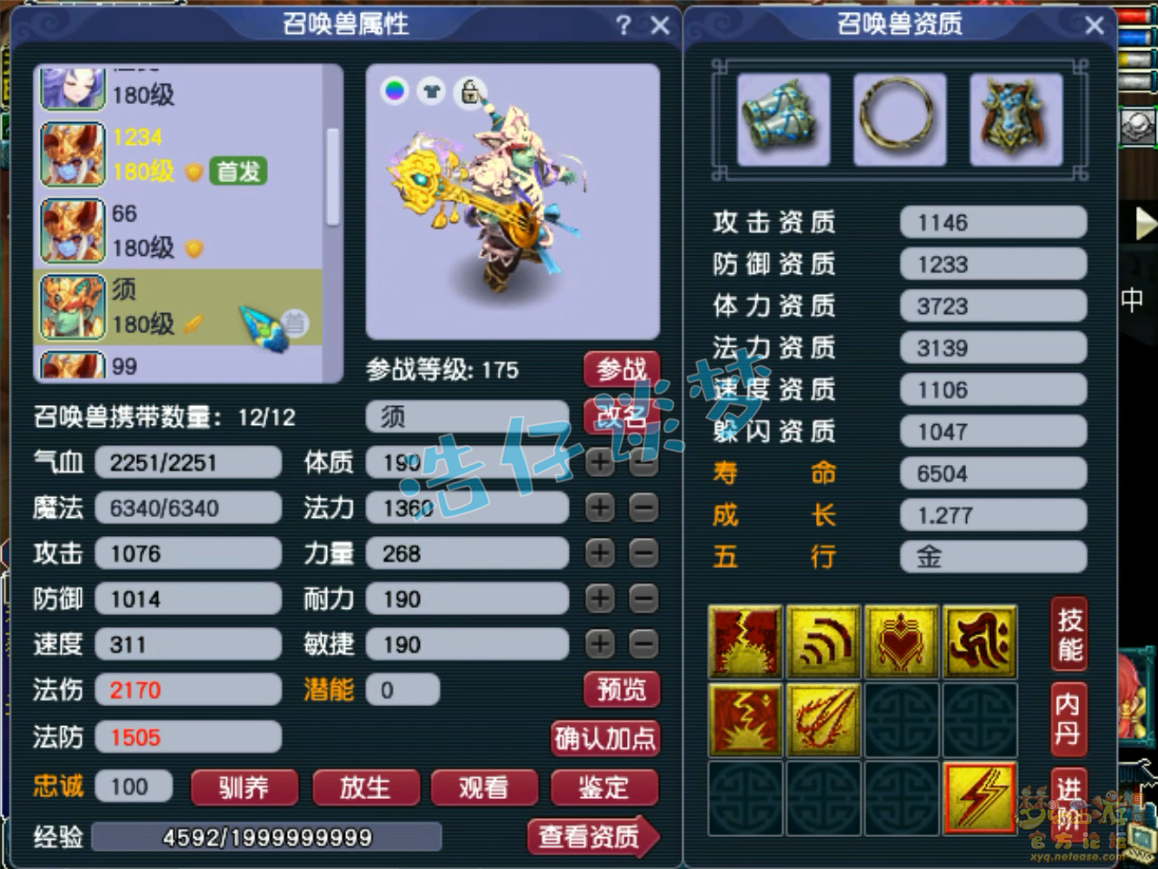 梦幻西游咒师普陀山装备展示图175级