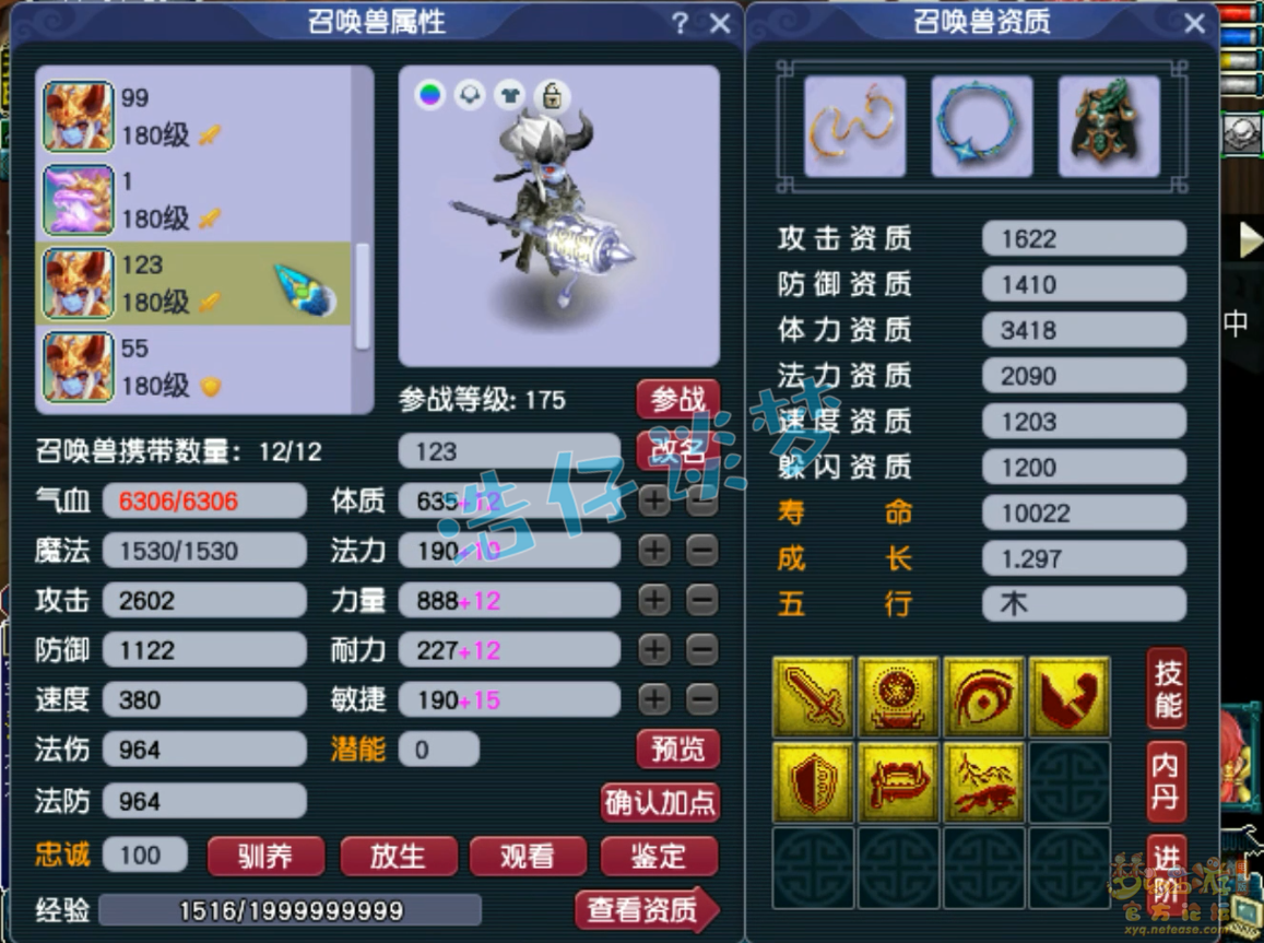 梦幻西游咒师普陀山装备展示图175级