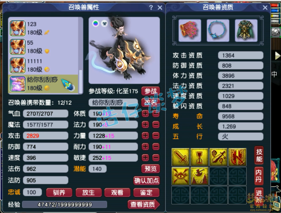 梦幻西游咒师普陀山装备展示图175级