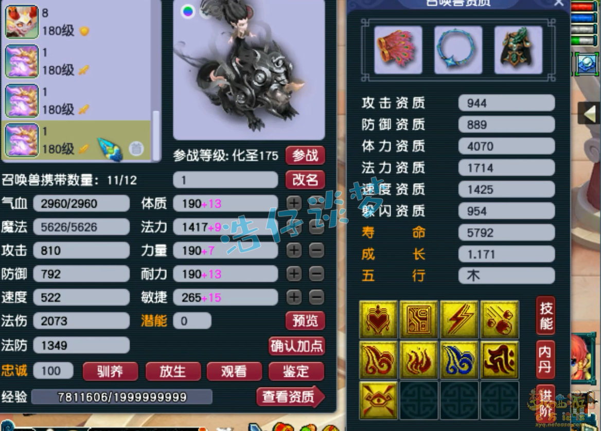 梦幻西游175服战五庄观装备展示图