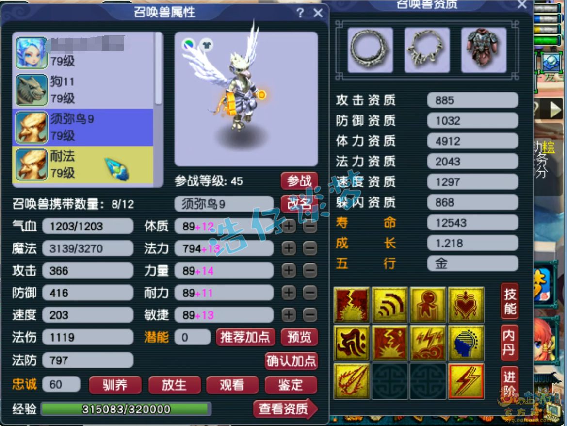 梦幻西游69天机城装备展示图