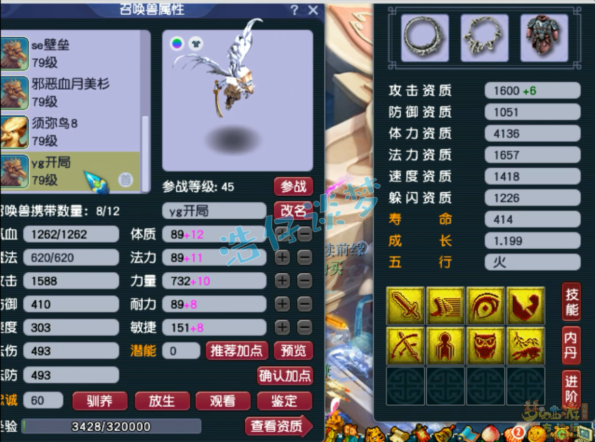 梦幻西游69天机城装备展示图