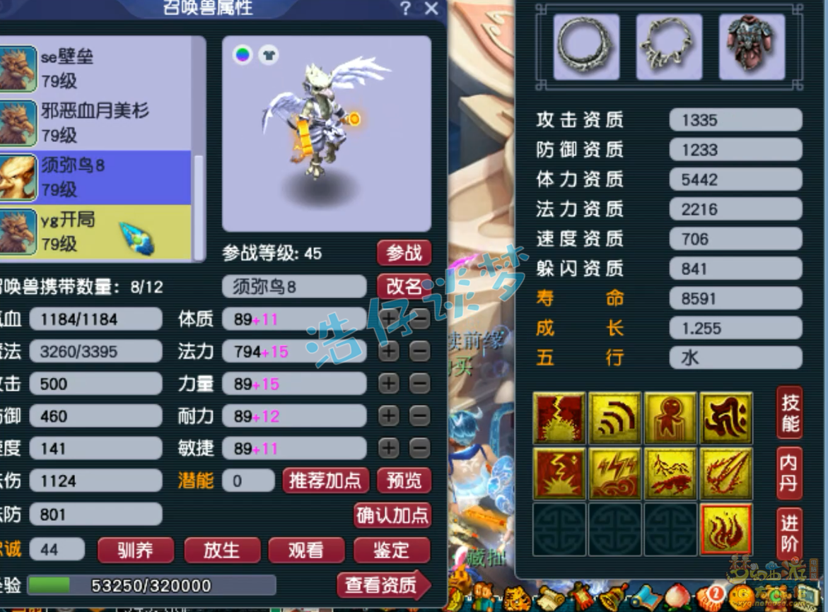 梦幻西游69天机城装备展示图