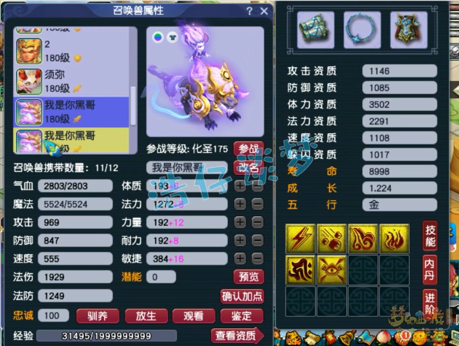 梦幻西游PK大唐175级装备展示图