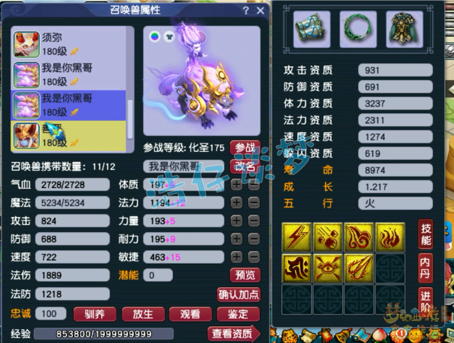 梦幻西游PK大唐175级装备展示图