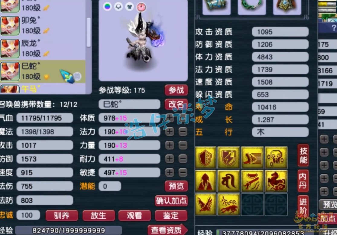 梦幻西游服战175级五庄观装备展示图