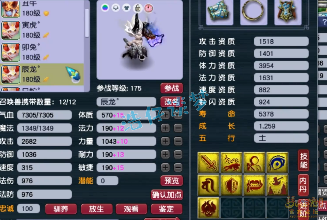 梦幻西游服战175级五庄观装备展示图