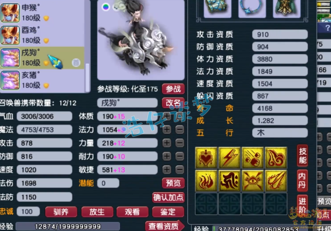 梦幻西游服战175级五庄观装备展示图