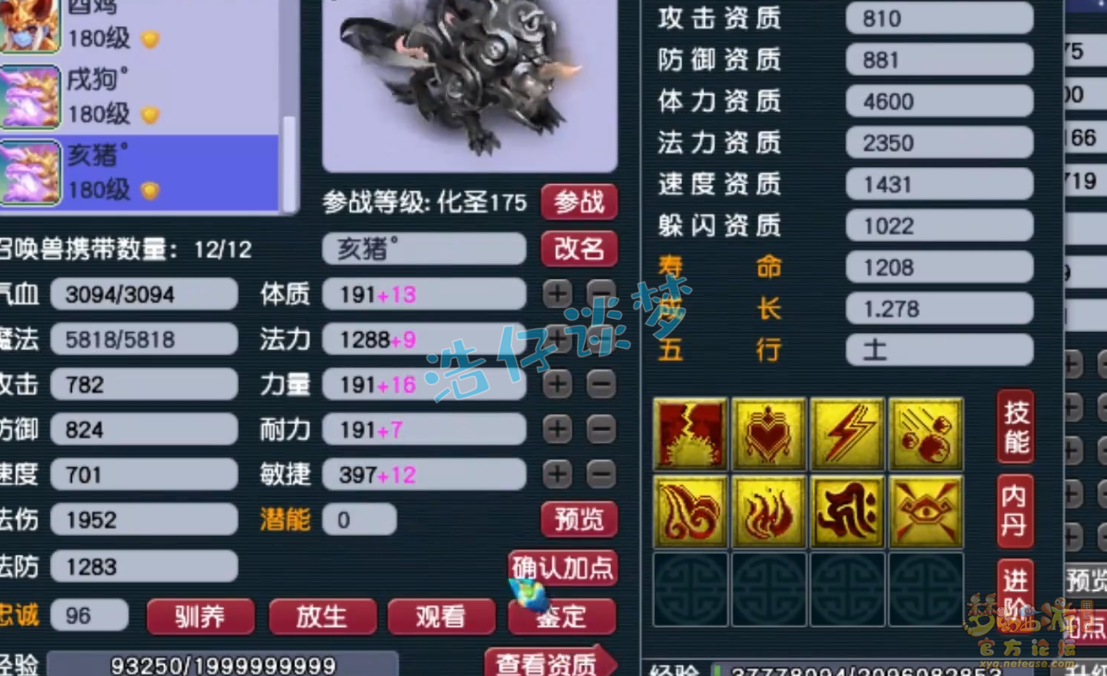 梦幻西游服战175级五庄观装备展示图