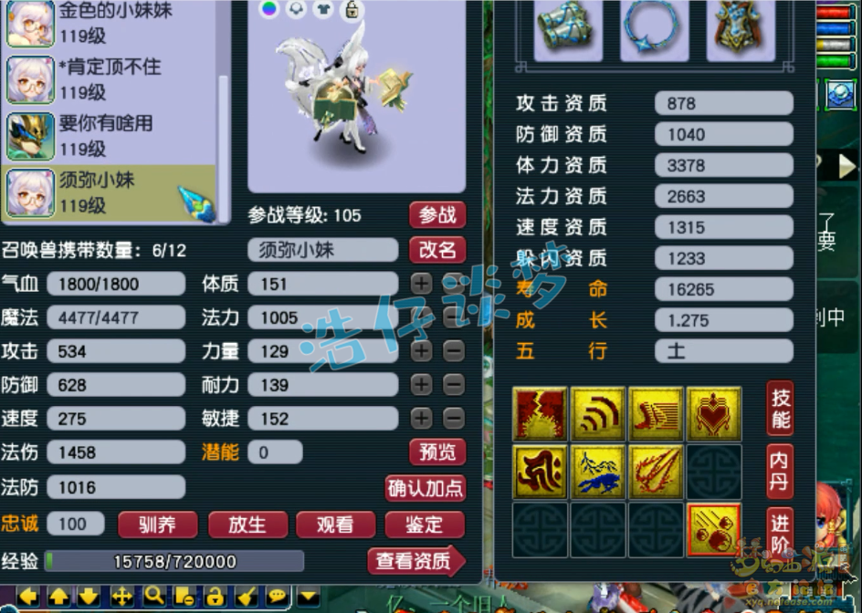 梦幻西游109百套神木林装备展示图