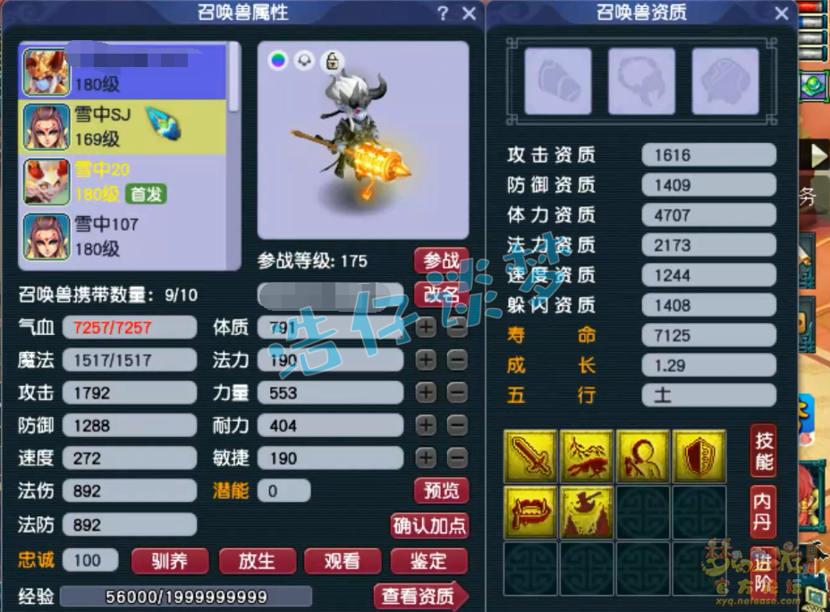 梦幻西游骷髅大唐装备展示图175级