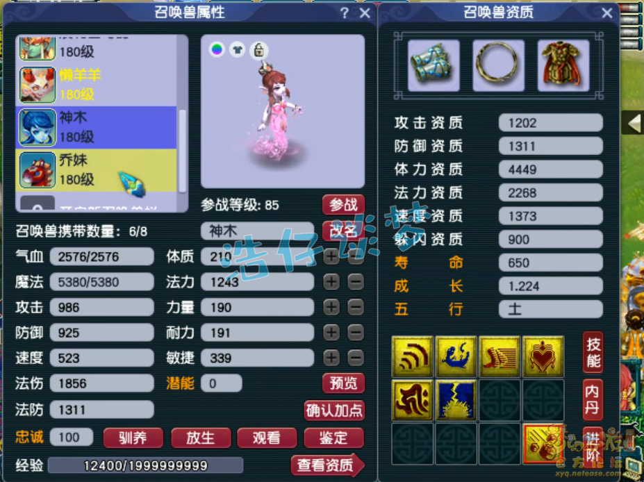 梦幻西游175级帮战女儿村装备展示图