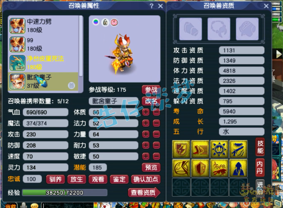 梦幻西游175级单挑魔方寸山装备展示图