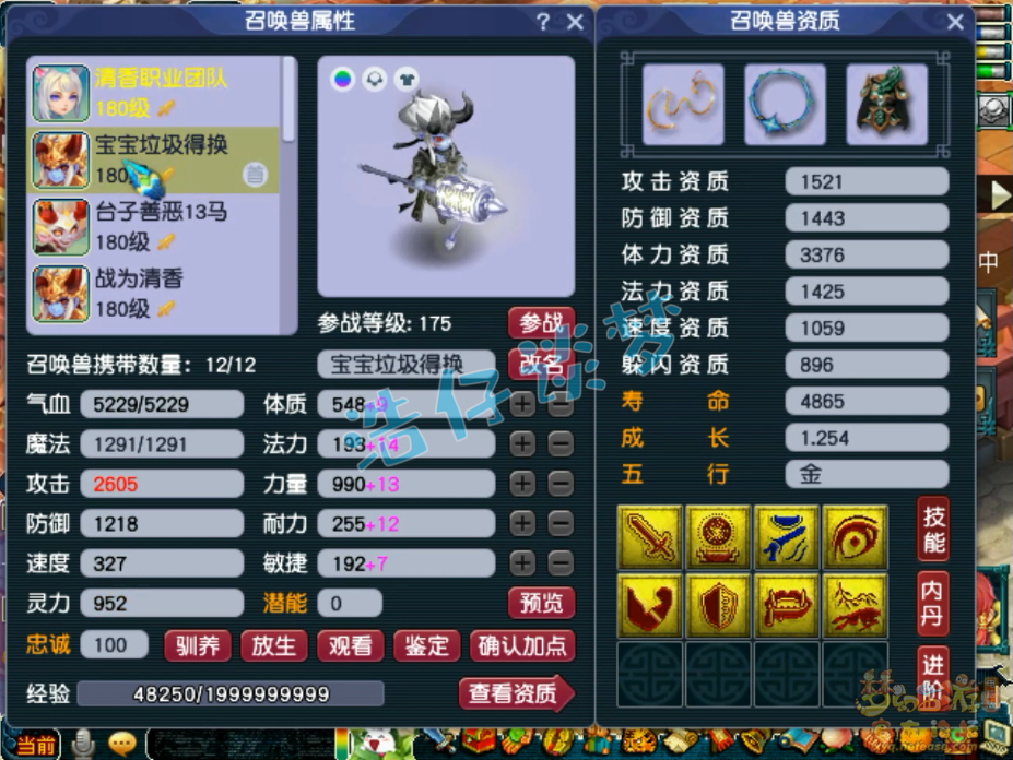 梦幻西游175帮战五庄观装备展示图