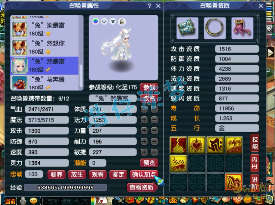 梦幻西游狮驼岭三攻装备展示图175级