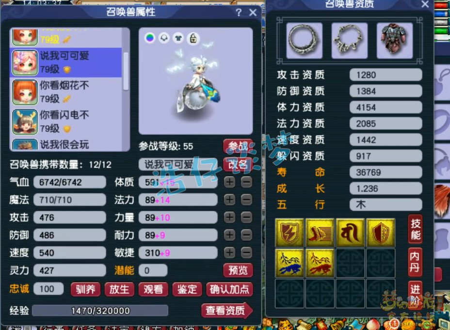 梦幻西游69单挑魔方寸山装备展示图