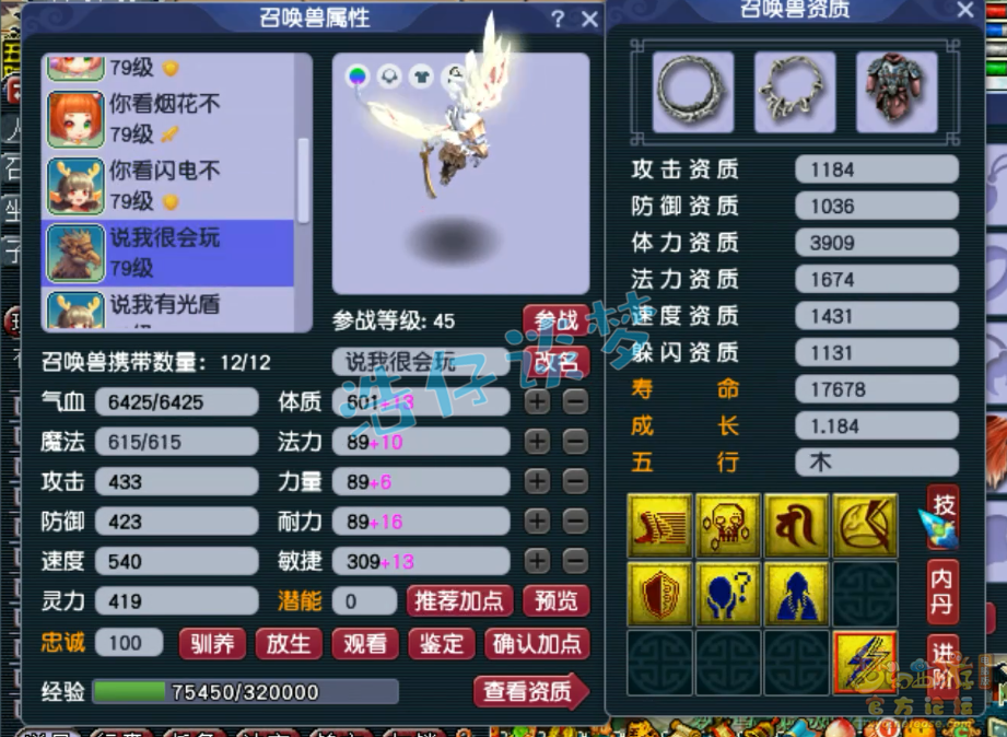 梦幻西游69单挑魔方寸山装备展示图