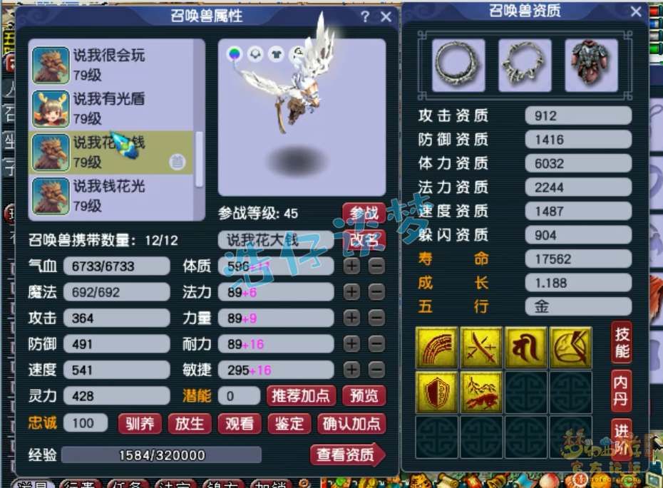 梦幻西游69单挑魔方寸山装备展示图