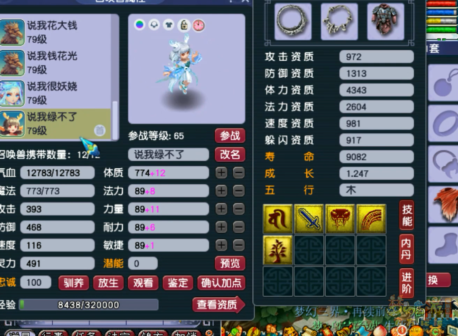 梦幻西游69单挑魔方寸山装备展示图