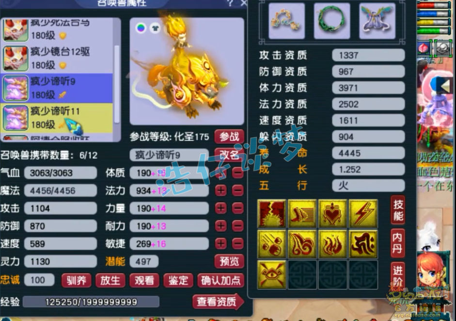 梦幻西游服战175五庄观装备展示图