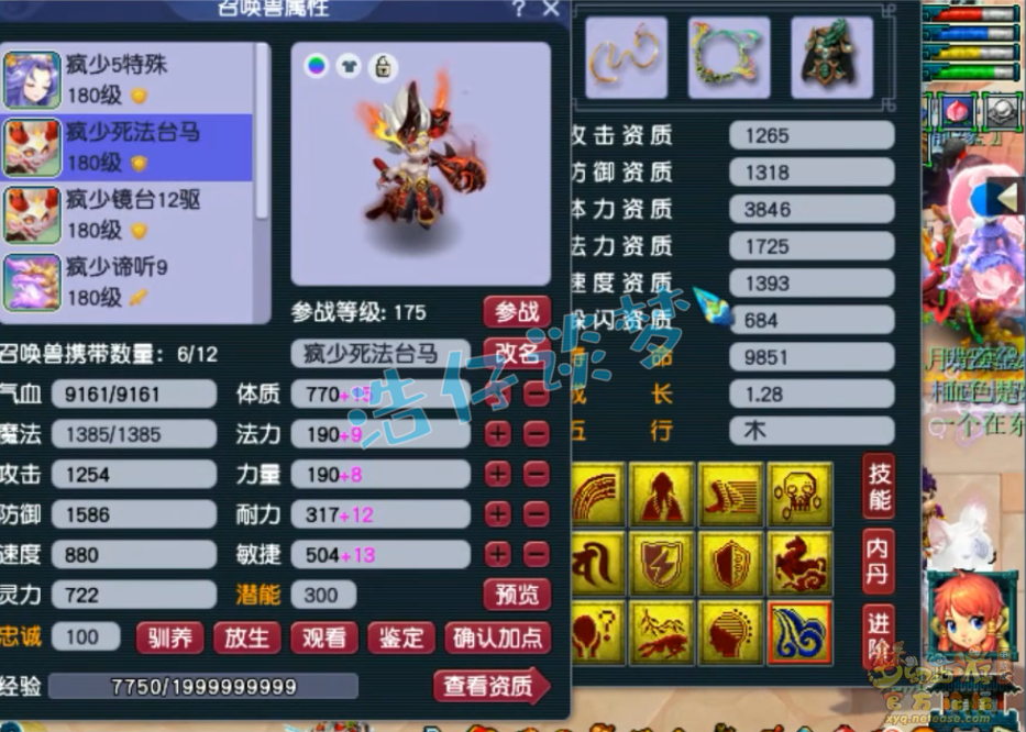 梦幻西游服战175五庄观装备展示图