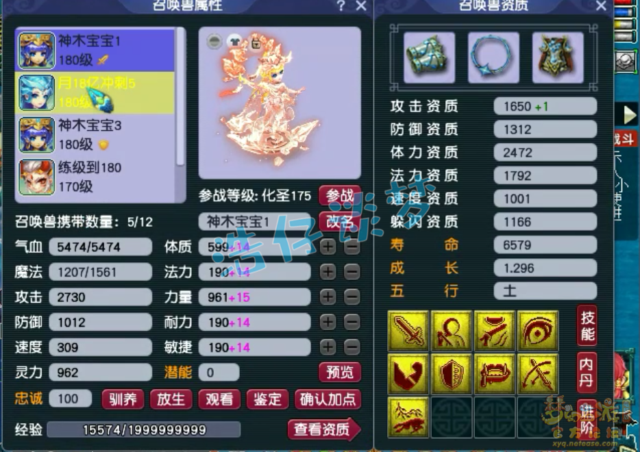 梦幻西游175神木林任务装备展示图