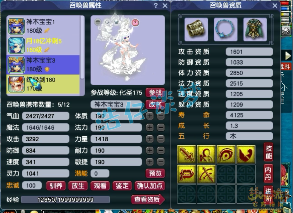 梦幻西游175神木林任务装备展示图