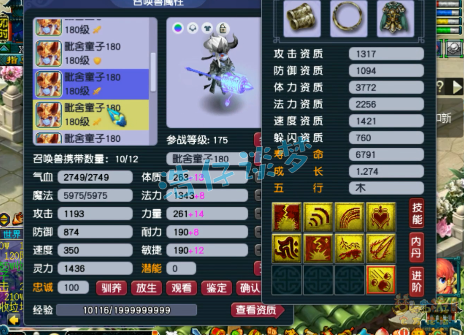 梦幻西游帮战175级龙宫装备展示图