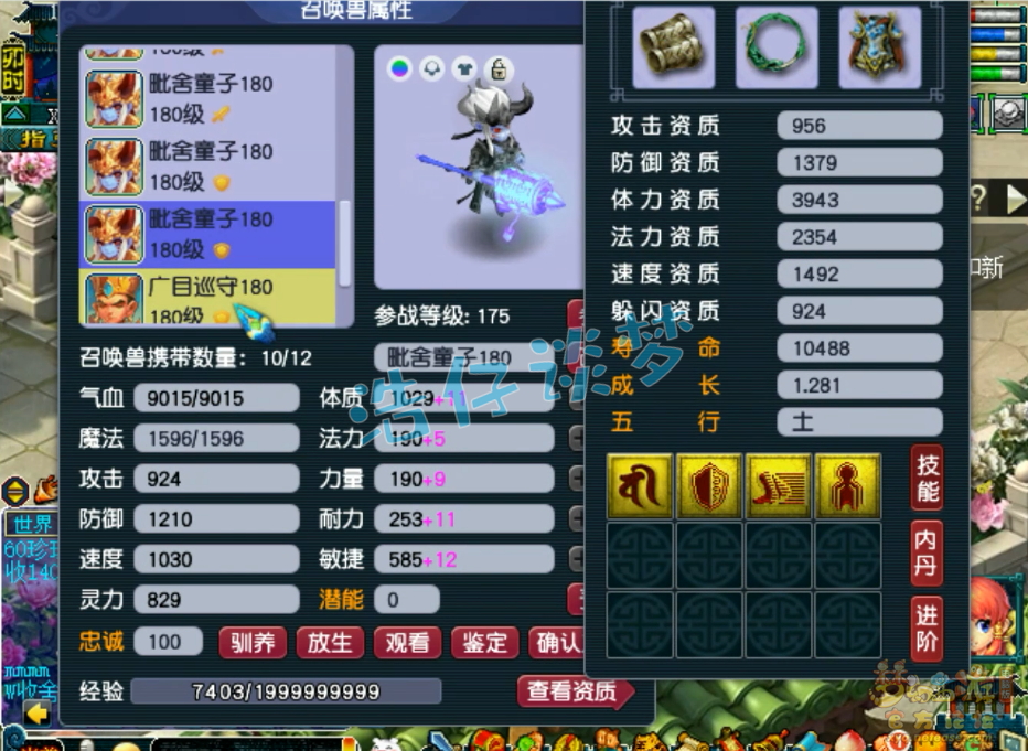 梦幻西游帮战175级龙宫装备展示图