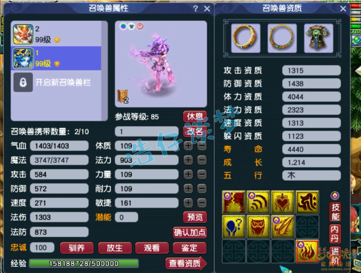 梦幻西游神木林89级装备展示图