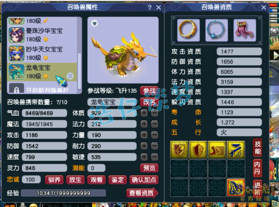 梦幻西游175级不磨神木林装备展示图