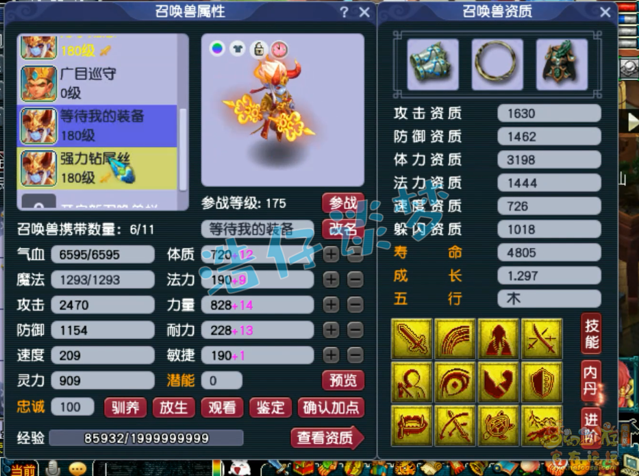 梦幻西游175服战普陀装备展示图