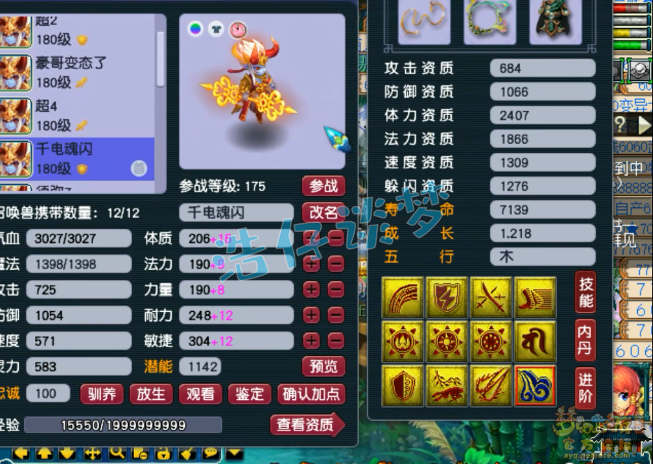 梦幻西游服战五庄观175级装备展示图