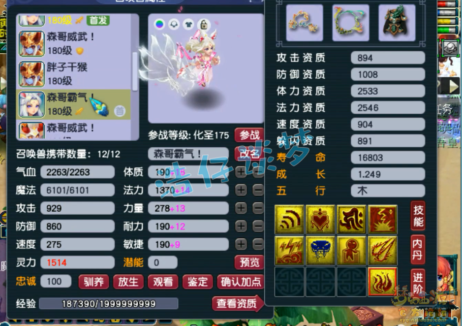 梦幻西游服战女儿村装备展示图175级