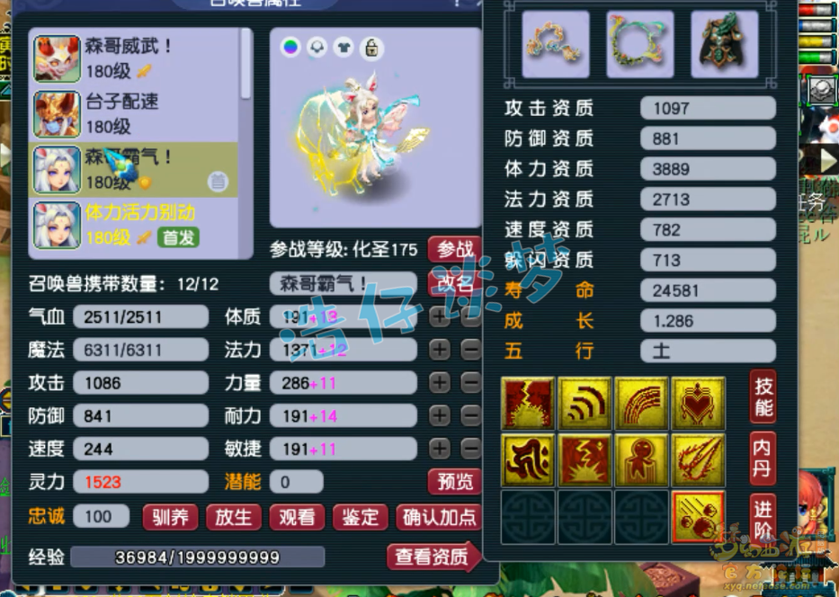 梦幻西游服战女儿村装备展示图175级