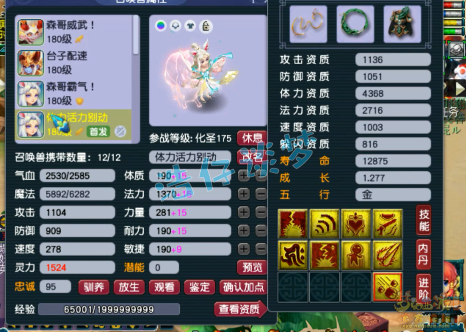 梦幻西游服战女儿村装备展示图175级