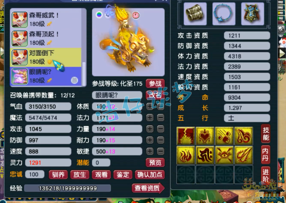 梦幻西游服战女儿村装备展示图175级