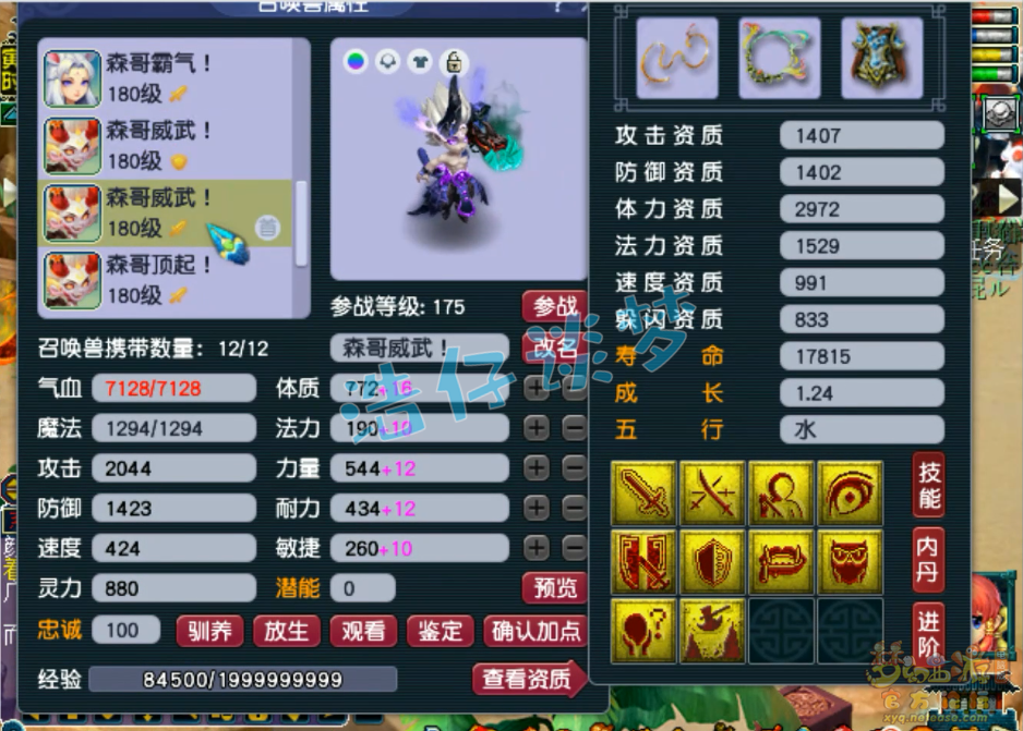 梦幻西游服战女儿村装备展示图175级