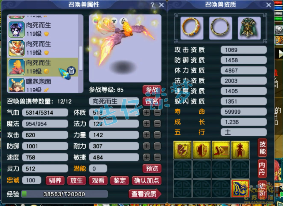 梦幻西游109级百套五庄观装备展示图