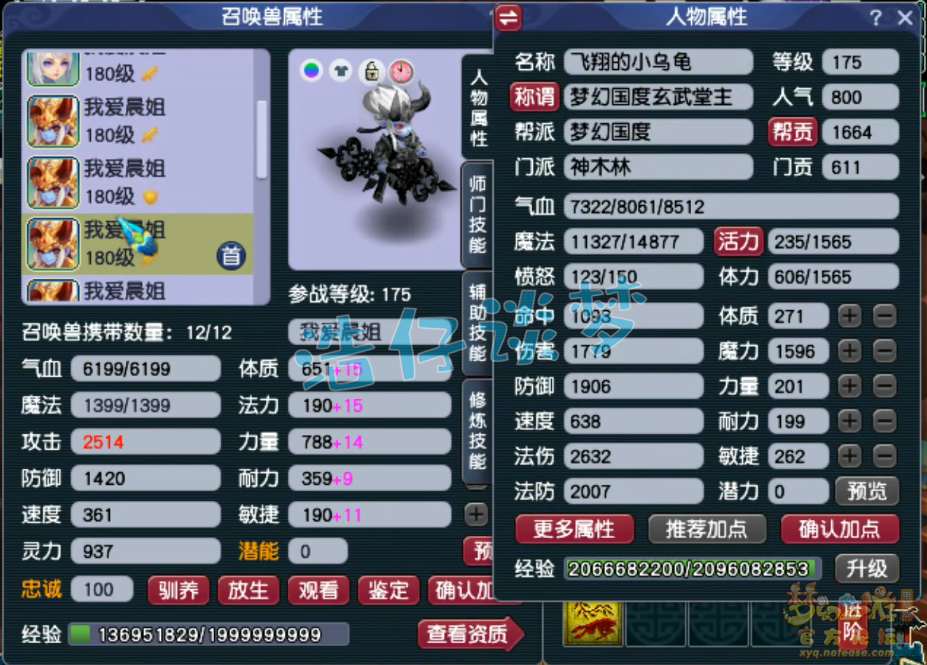 梦幻西游神木林帮战175级展示图