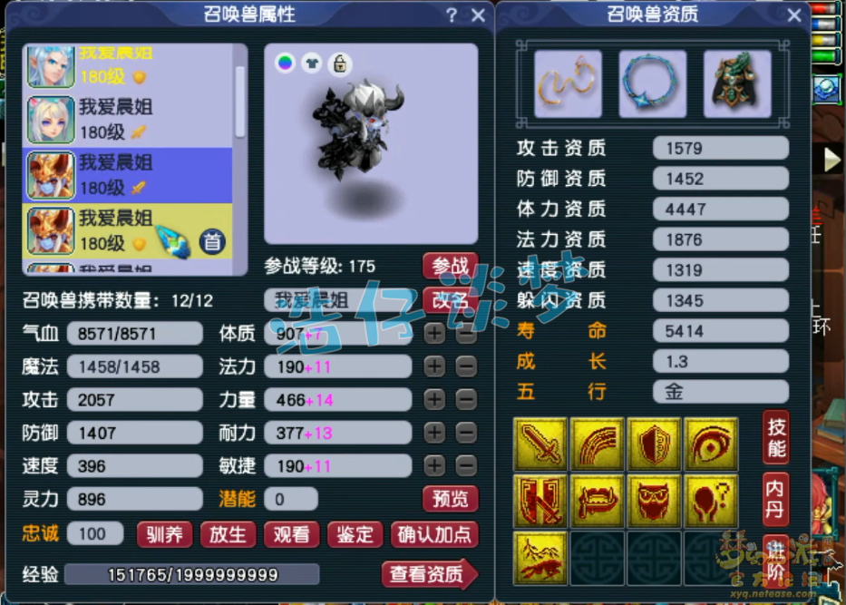 梦幻西游神木林帮战175级展示图